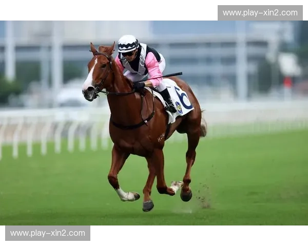 回放赛马:把握瞬间,重温刺激的马场传奇